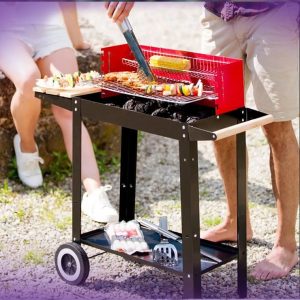 Barbecue Wagon sur Roues à Charbon – SPROM