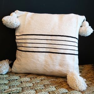 Coussin N°15 (lot de 2)