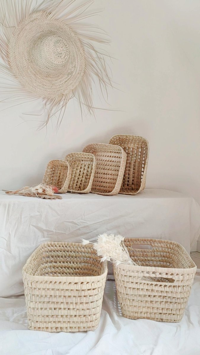 Corbeille CHEMS – Image 3