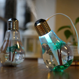 Diffuseur Huiles Essentielles Ampoule Humidificateur USB